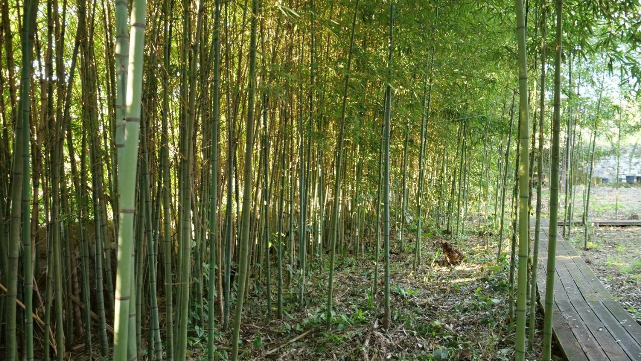 Heron'S Path I Análipsis المظهر الخارجي الصورة