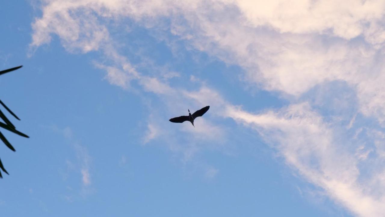 Heron'S Path I Análipsis المظهر الخارجي الصورة