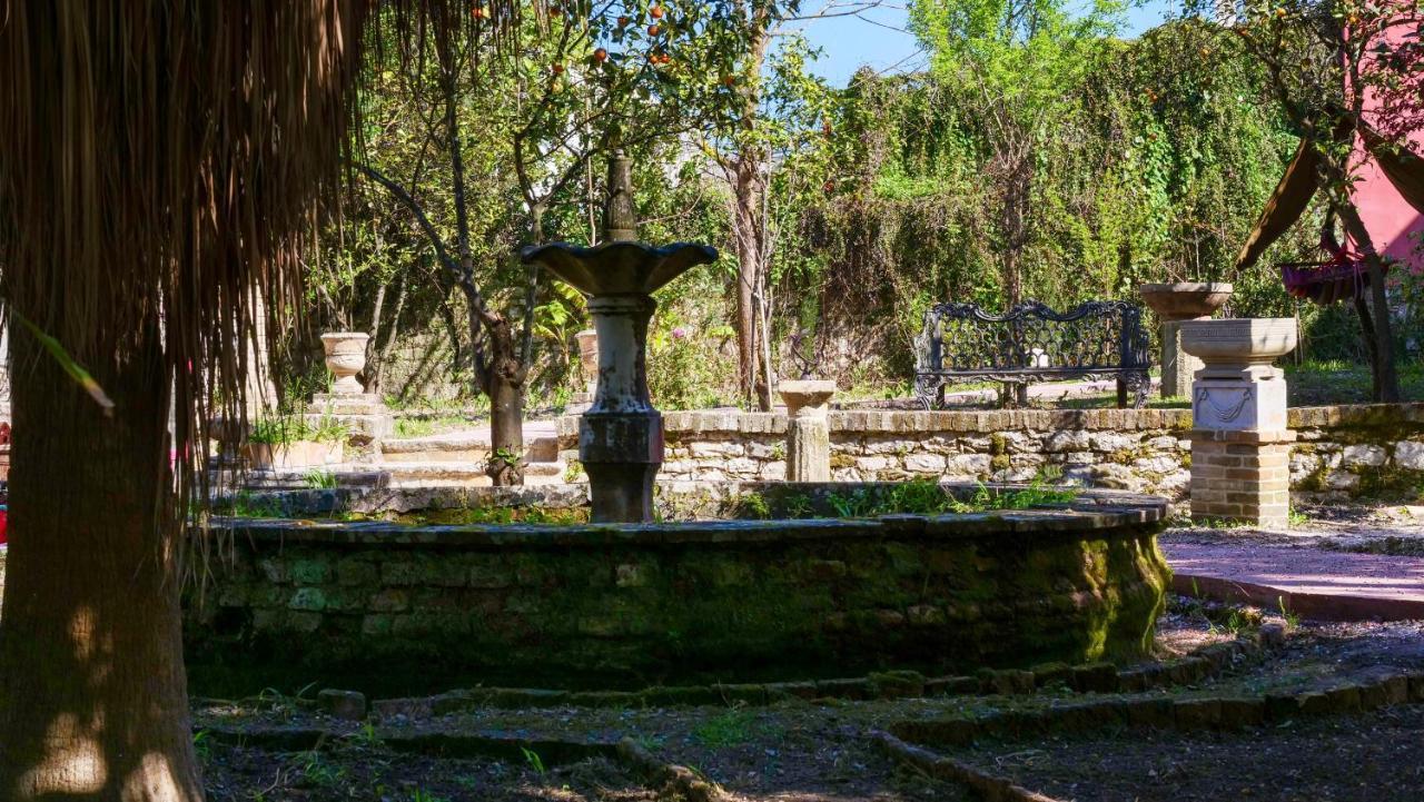Heron'S Path I Análipsis المظهر الخارجي الصورة